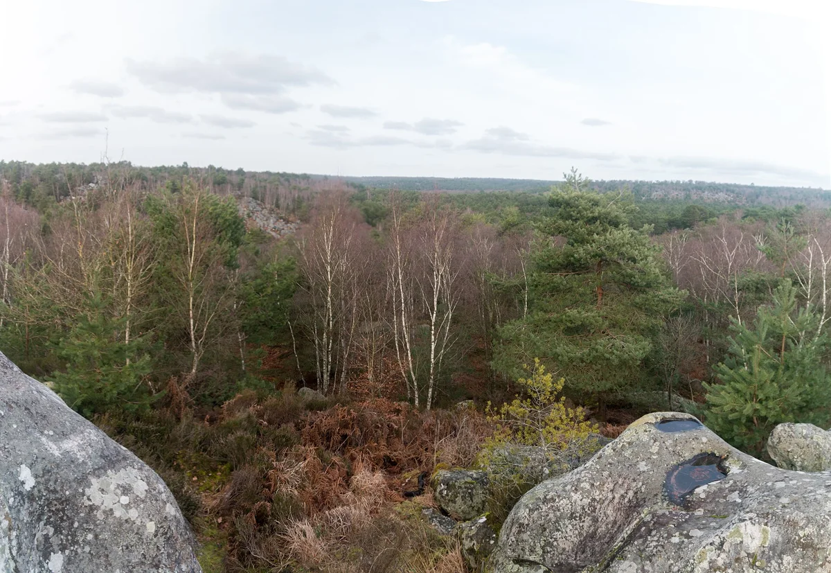 Sandstone rocks and woodland in the Fontainebleau forest on a day trip from Paris