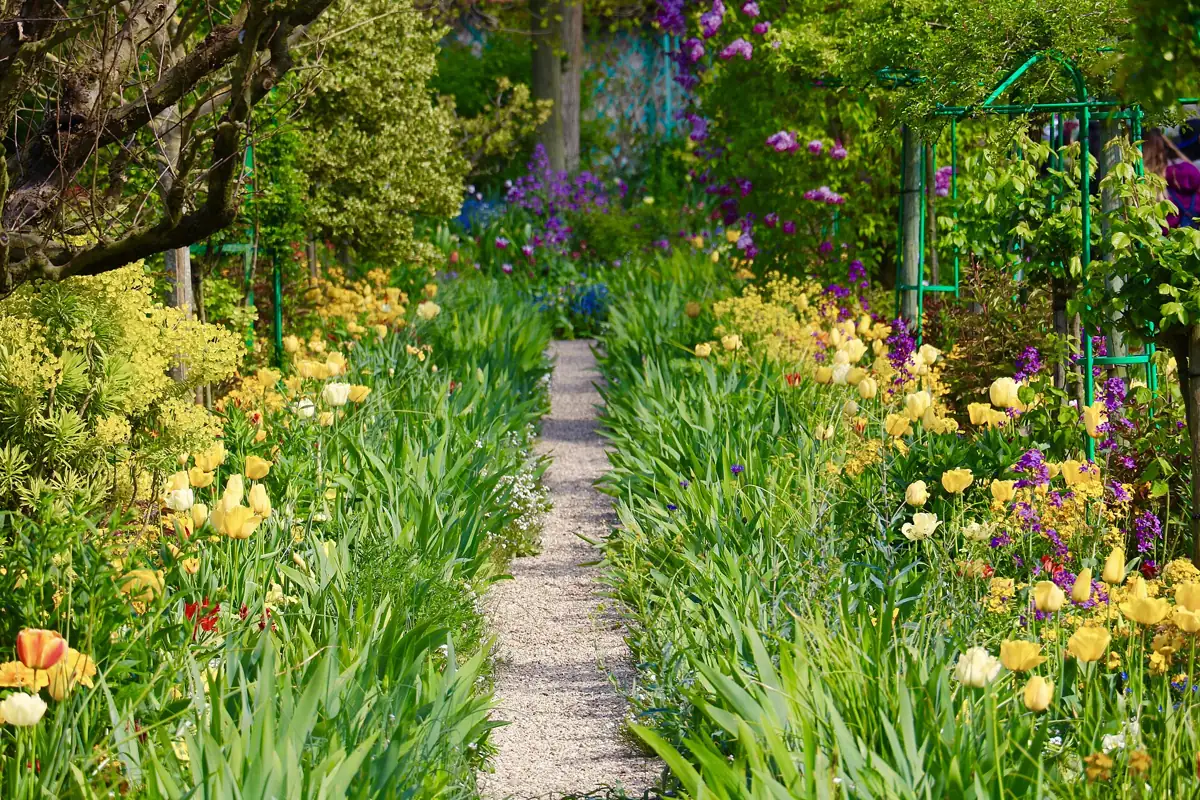 Tulips and flower beds along a path in Monet's garden at Giverny on a spring day trip from Paris