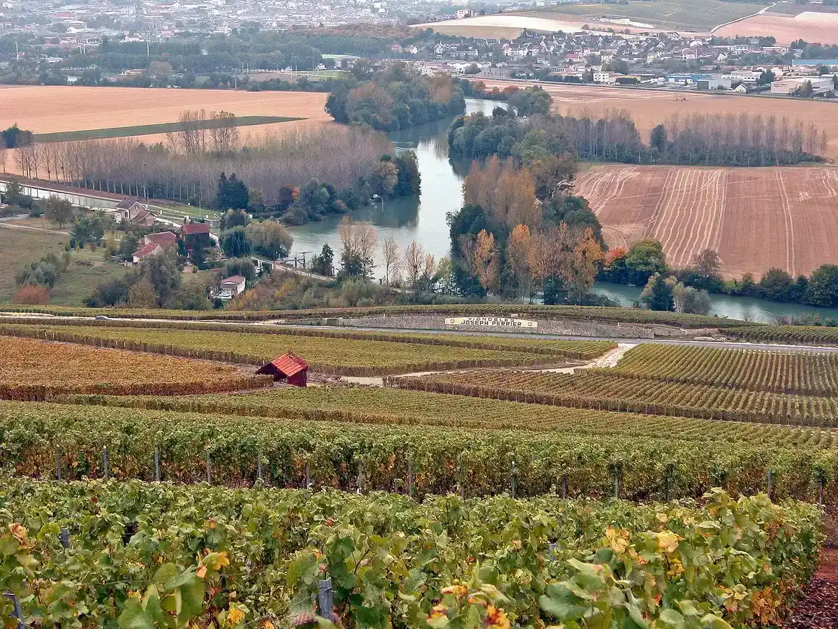 Champagne vineyards above the Marne valley near Hautvillers on a day trip from Paris
