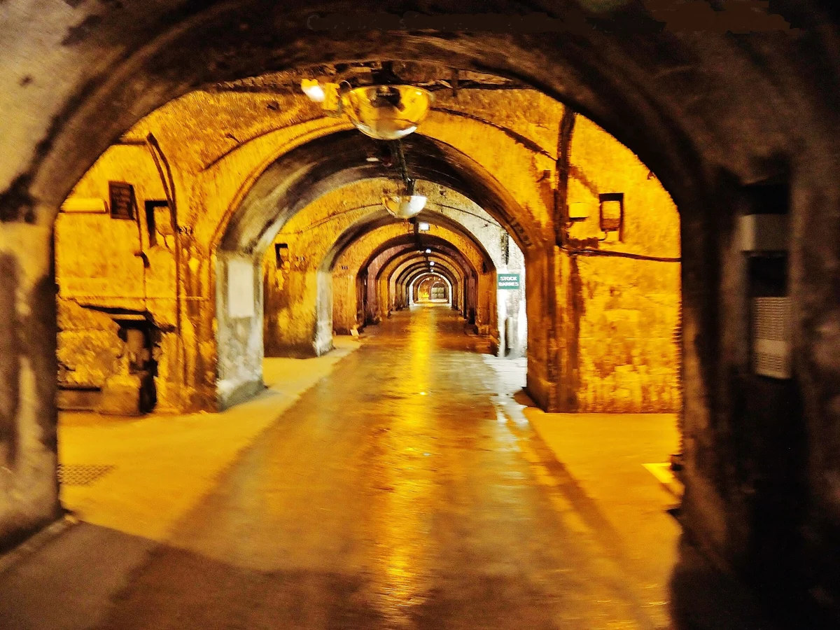 Lit chalk tunnel of the Mercier champagne cellars in Épernay on a wine day tour from Paris
